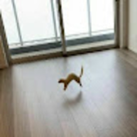 Meet your Posher, Emily - Picture 1 of 1